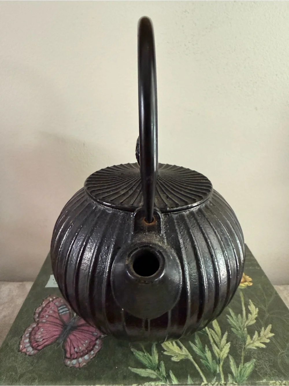 Black Cast Iron Ribbed Teapot with Handle